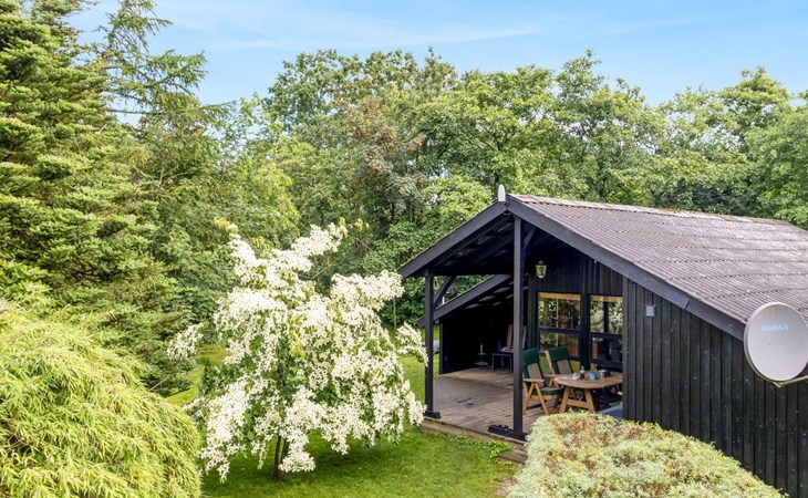 "Amela" - 30km from the sea 1