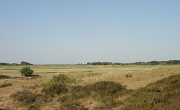 "Aswith" - 2,3 km van de zee in West-Jutland 3