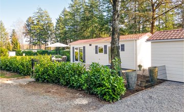 Pet friendly home in Vorden with WiFi 3