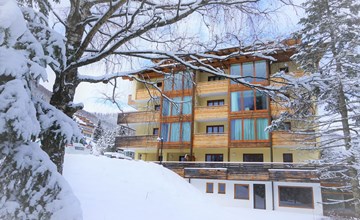 Design Chalet in Bad Kleinkirchheim 2