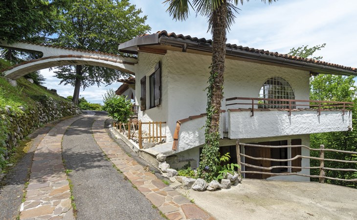 House in the Woods 1