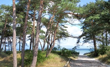 „Ellinor“ – 300 m vom Meer entfernt in Bornholm 3