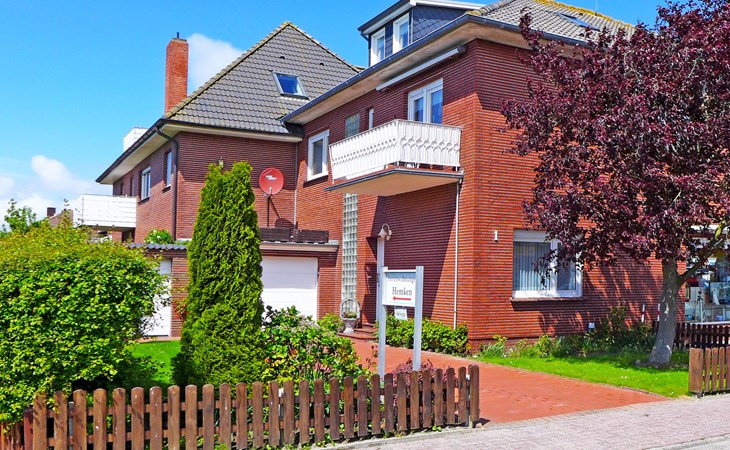 Meeuw met zwarte rug 1