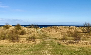 "Torsten" - 30m from the sea in Lolland, Falster and Mon 3