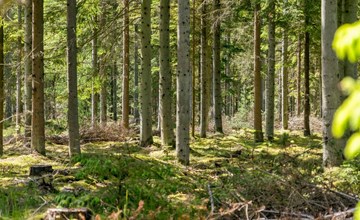 „Sighwith“ – 500 m vom Meer entfernt in Nordostjütland 3