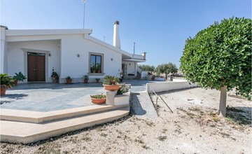 Olimpia house 2