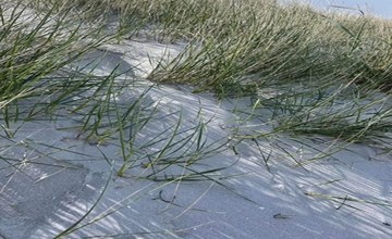 "Frederikka" - 1.9km from the sea 3