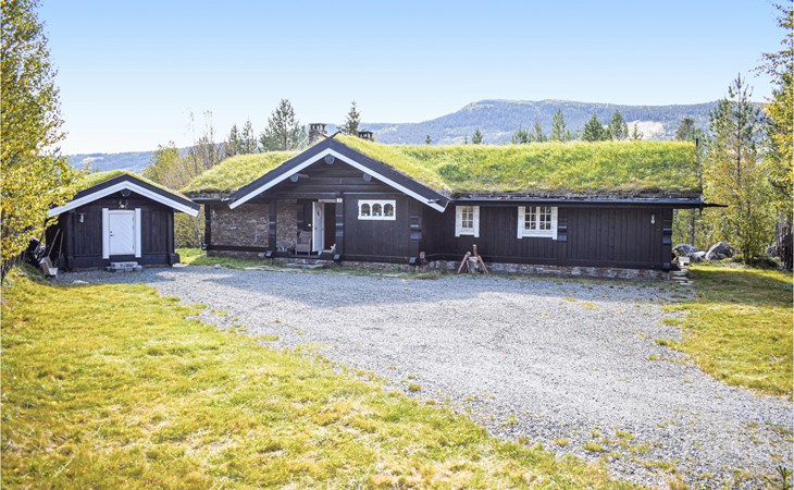 Cozy home in Hemsedal with kitchen 1