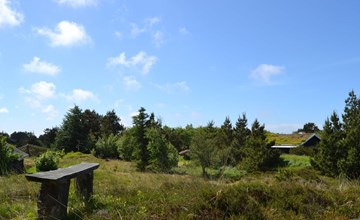 "Bruna" - 2 km van de zee in West-Jutland 2
