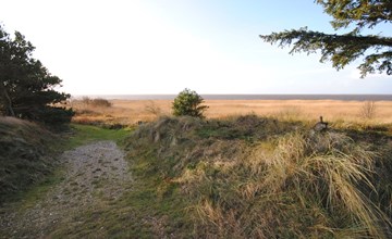 „Bjart“ – 50 m bis zur Fjord in Westjütland 3