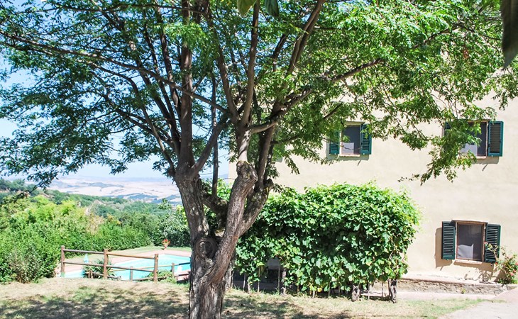 Podere Valle di Sotto 1