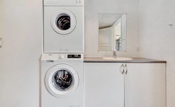 "Ludvig" -  from the sea in Western Jutland 3