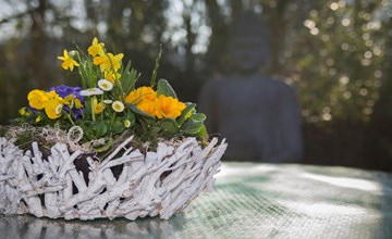 in Niebüll mit Großer Terrasse 3