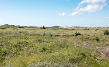"Dorothea" - 450 meter van de inham in West-Jutland 2