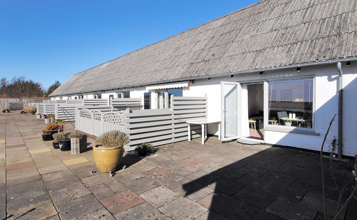 "Rejhana" - 500 meter van de inham in het Limfjord 1