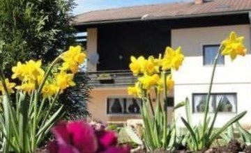 Salvia in Millstatt 2