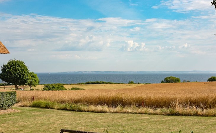 "Edithe" - 250 meter van de zee in Zuidoost-Jutland 1