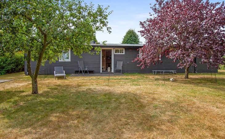 "Svend" - 1.5km from the sea in NE Jutland 1