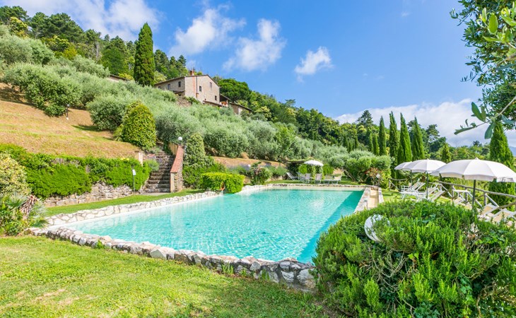 The Dome: Geranium 1