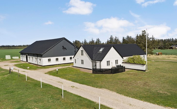 3 bedroom stunning home in Pandrup 1
