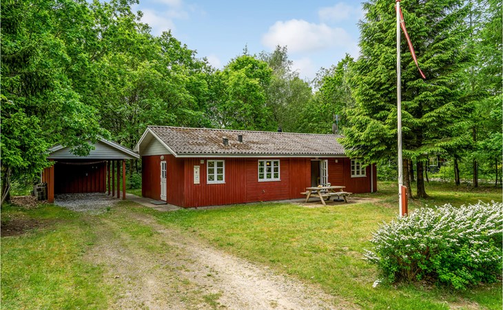 3 bedroom gorgeous home in Ansager 1