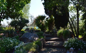 Wohnung mit Blick auf den Gardasee 2