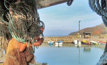 "Uschi" - 15m from the sea in Bornholm 3