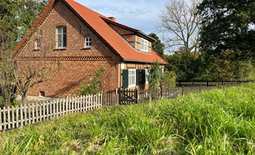 Haus Elbrose inmitten von Rosen mit Elbdeichzugang 3