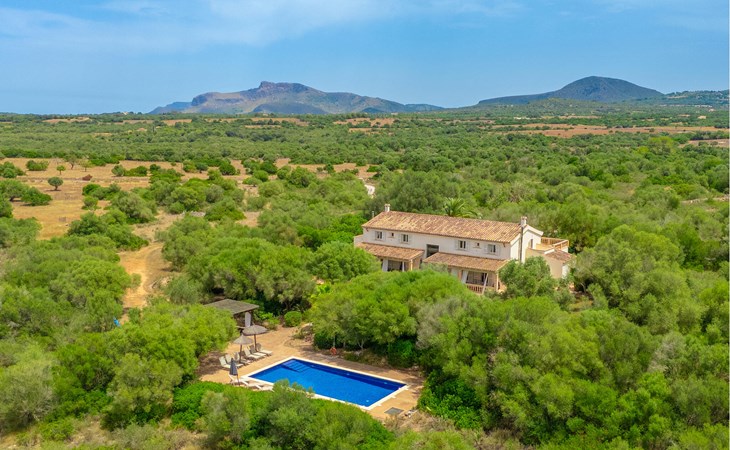 Finca Tortuga de son Cifre 1