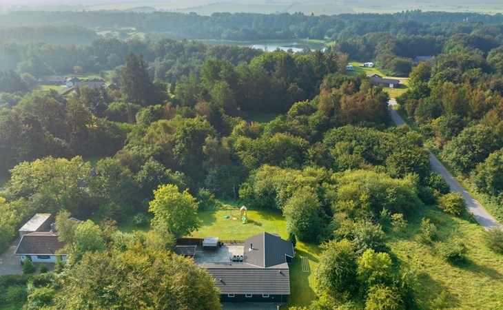 "Elif" - 30km from the sea in Western Jutland 1