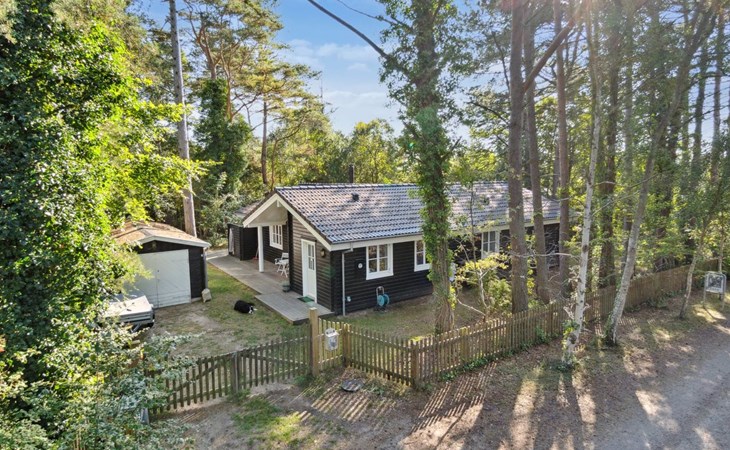 "Anar" - 900 meter van de zee in Zeeland 1