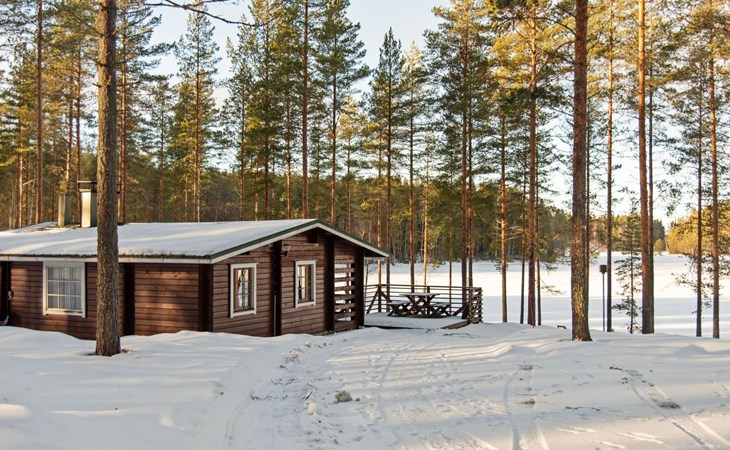 Aittoniemi i 1