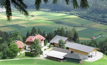 Waldblick in Steinfeld 2