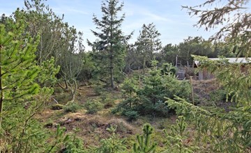 „Laurin“ – 600 m vom Meer entfernt in Westjütland 3