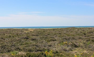 „Hatem“ – 200 m vom Meer entfernt in Nordostjütland 3