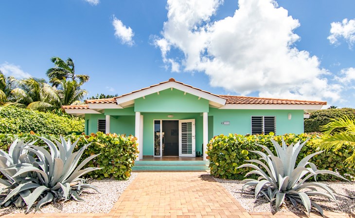 Encanto Verde 1