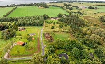 "Velika" - 300m to the fjord 2