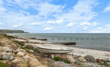 "Andine" - 250m from the sea 3