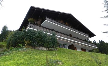 Hornflue (Wohlwender) 3