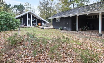 "Anttoni" - 50km from the sea 3