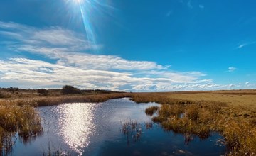 „Blakke“ – 200 m vom Meer entfernt in Nordostjütland 2