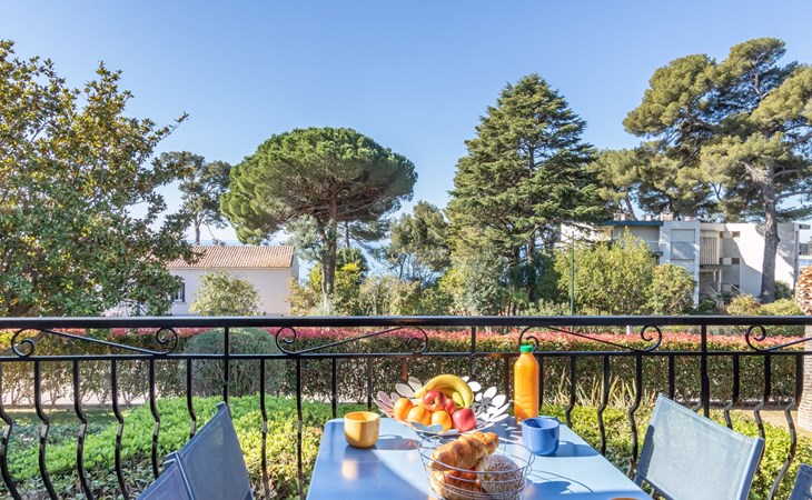 Wunderschöne Küste 1