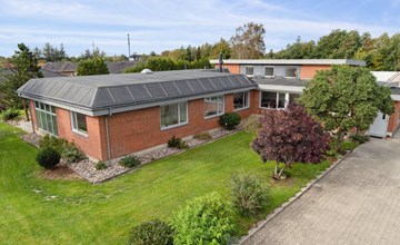 „Elaine“ – 350 m vom Meer entfernt in Nordostjütland 3