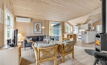 Pet friendly home in ålbæk with sauna 3