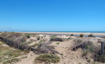 Wildwasser 1 und 2 2