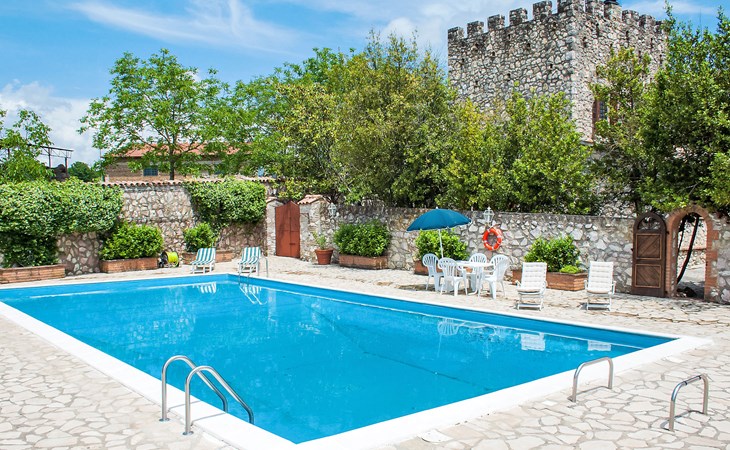 Jahrhundertealter Olivenbaum 1