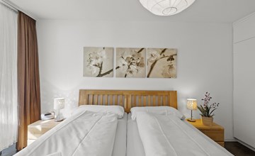 Nr.08 Haus Sursilvana 3