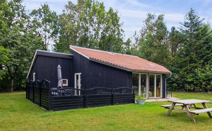 "Amanda" - 30km from the sea in Western Jutland 1