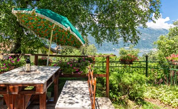 In the chestnut grove 3