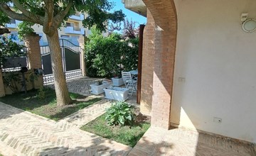 "Daphne Experience". 2